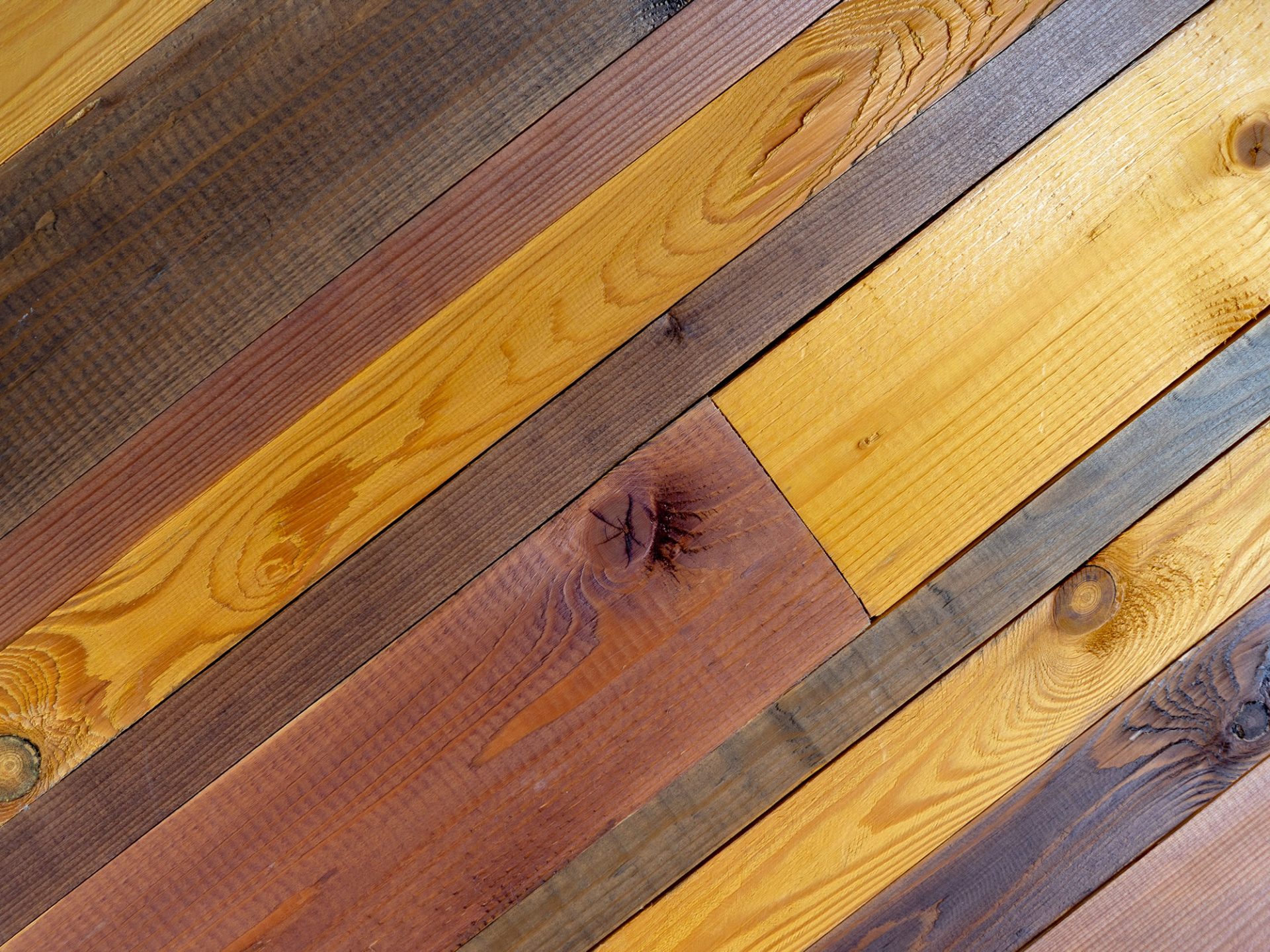 What Is The Difference Between Timber Treatments